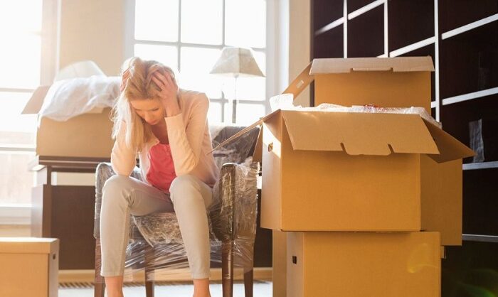 Moving With Your Dog